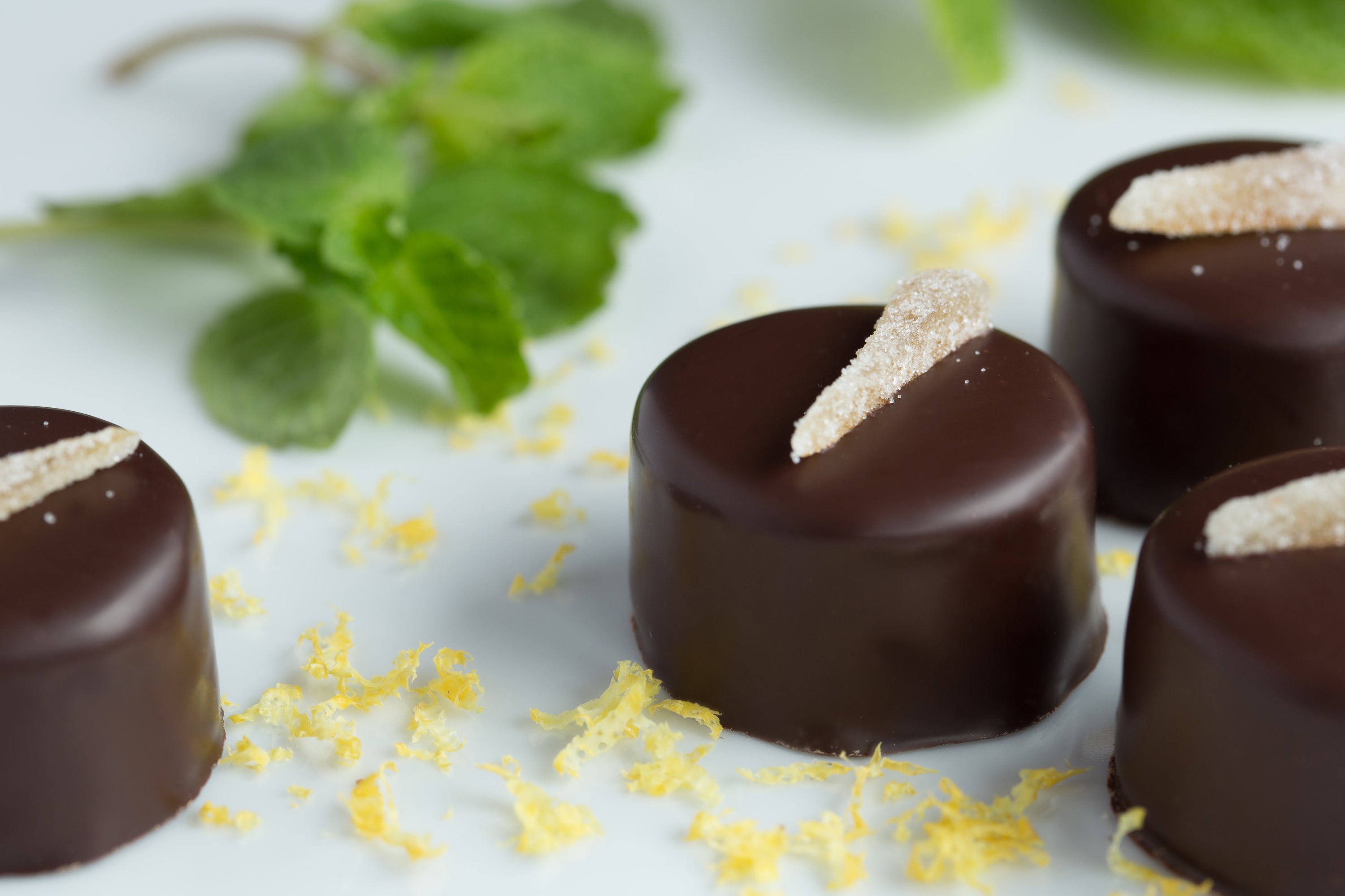 Small Business Revolution: St. Croix Chocolate Company